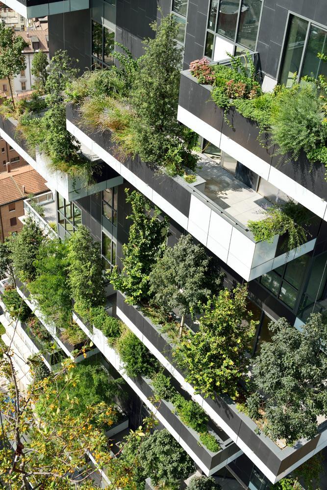 Vertical Forest: Photo 3