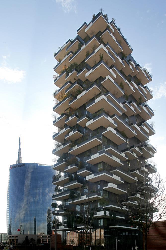 Vertical Forest: Photo 12