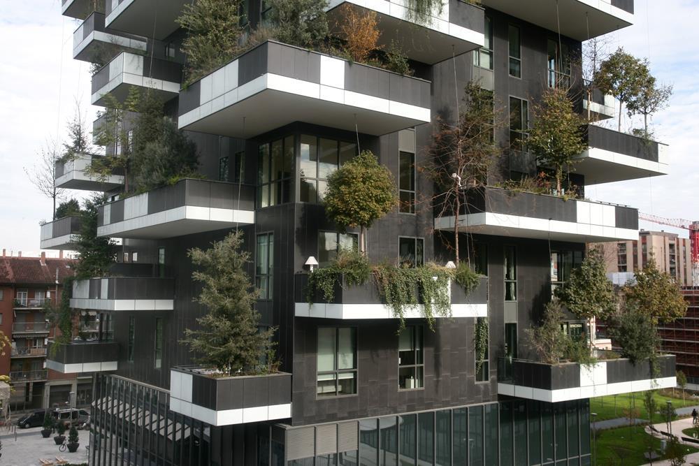 Vertical Forest: Photo 24
