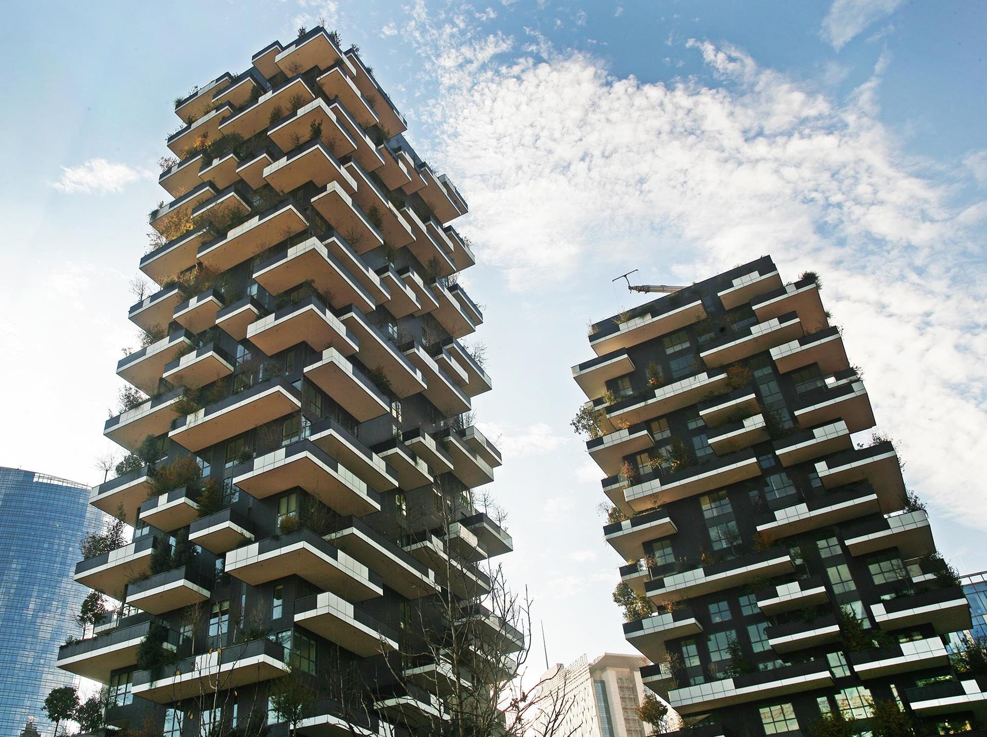 Vertical Forest: Photo 30