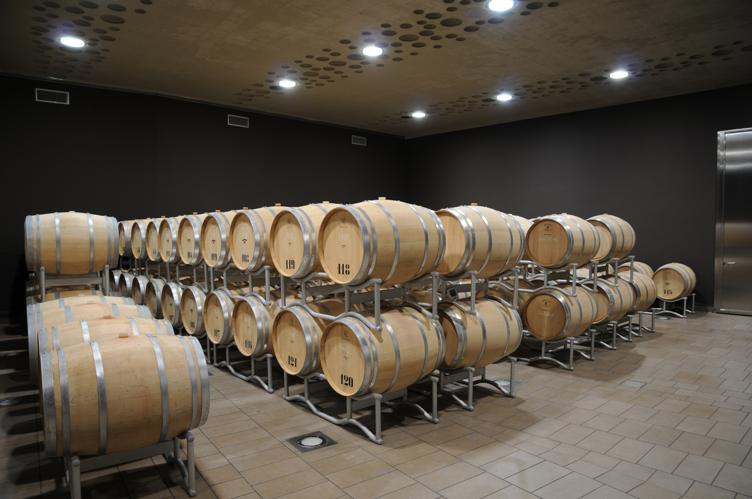 The Campo del Sole winery in Bertinoro: Photo 8
